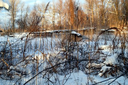 Tashmoo Park - Possible Remnats (newer photo)
